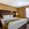 Отель Quality Inn & Suites Westminster Seal Beach, фото 4