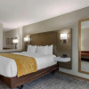 Отель Comfort Inn, фото 23