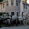 Отель Parrish Grove Inn, фото 16