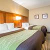 Отель Comfort Inn & Suites North, фото 5