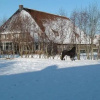 Отель Spacious & typical Farmhouse, in the village of Arum, close to the IJsselmeer!, фото 1