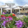 Отель Alba Village Hotel, фото 10