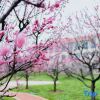Отель Blue Valley Wealth Management Training Center, фото 17