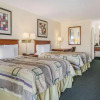 Отель Red Carpet Inn, фото 9