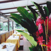 Отель Pizote Lodge, фото 14