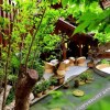 Отель Immersing Hotel & Resorts Old Town of Lijiang, фото 7