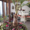 Отель Woodshoot B&B, фото 15