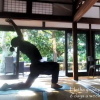 Отель Le Lotus Bleu Ishigaki House, фото 1