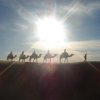 Отель Sahara Camels Camp, фото 5