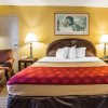 Отель Econo Lodge Inn & Suites, фото 14