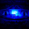 Отель Occidental Tamarindo - All Inclusive, фото 23