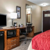 Отель Comfort Inn and Suites, фото 4