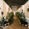 Отель IBD International Hotels Limited, фото 6