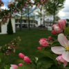 Отель Bourne's Ocean Acres Ogunquit, фото 11