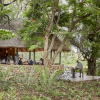 Отель Motswari Private Game Lodge, фото 11