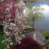 Отель Zell am See 700, фото 11