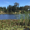 Отель Tranquil Retreat Lodge, фото 11