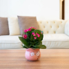 Отель Landmark Plus Luxury - Vinhome Central, фото 12