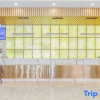 Отель Starway Hotel (Langfang Convention and Exhibition Center), фото 2