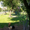 Отель Bakhuisje gehele woning, фото 9