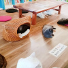 Отель Gyeongju Pyeonggwanhun Guest House, фото 7