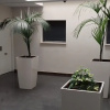 Отель Apartamentos Turísticos Los Ángeles, фото 5