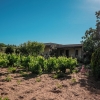 Отель Bagbadem Tatil Ciftliği, фото 42