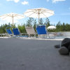 Отель Villa Vitvikenb i Gotland, Pool, фото 25