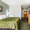 Отель Quality Inn & Suites Pearl - Jackson, фото 24