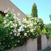 Отель House With 3 Bedrooms in Agde, With Enclosed Garden, фото 1