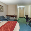 Отель Comfort Inn Woodstock Shenandoah, фото 4