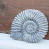 Отель Ammonite Cottage, фото 12