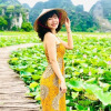 Отель Tam Coc Craft Homestay, фото 21