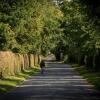 Отель The Lodge At Gilmerton House, North Berwick, фото 18