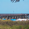 Отель Isle Of Palms Beachfront Condo W/ Balcony & Pool!, фото 13