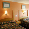 Отель The Economy Inn - Wesley Chapel, фото 3