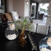 Отель Whale Rock Guest House, фото 25