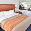Отель Comfort Inn, фото 7