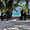 Отель Beachfront Hotel La Palapa - Adults Only, фото 19