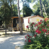 Отель Victoria Mobilehome Camping park Soline, фото 14