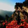 Отель Wudangshan Guobin Hotel, фото 30