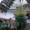 Отель T4 Climatise Vue Mer Dans Villa Piscine, фото 1