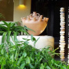 Отель Tentaciones Hotel & Lounge Pool   Adults Only, фото 16
