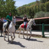 Отель Agriturismo Al Poggetto, фото 26