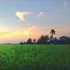 Отель Epic Sunrise + Paddy Fields + Breakfast = Bliss!, фото 13