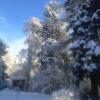 Отель The Beeches Studio, Highlands of Scotland, фото 12
