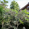 Отель Nida Rooms Ubud Bali Monkey Forest 1567 at Kampung Ubud & Spa Bungalow, фото 18