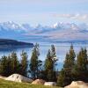 Отель Mt Cook Lakeside Retreat, фото 4