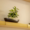 Отель Hibiki House, фото 12