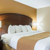 Отель Quality Inn & Suites Arden Hills - Saint Paul North, фото 19